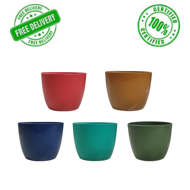 Fancy-Rubber-Moulded-Pot-L1-(Pack-of-5)